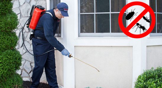 Manavkuyu Fare İlaçlama böcek ilaçlama ve haşere kontrolü — ilaclama-tr.com